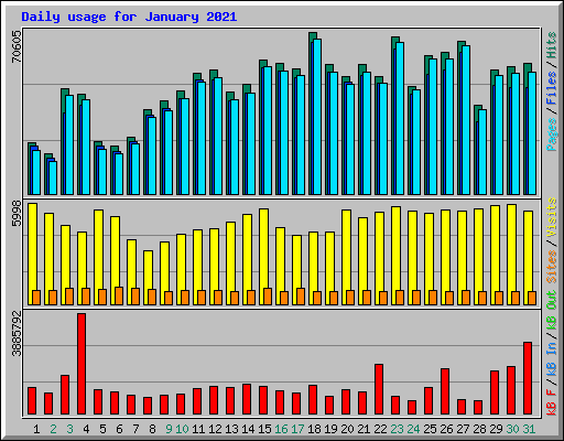 Daily usage for January 2021