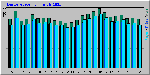 Hourly usage for March 2021